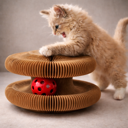 Whirl Paw — Interactive Toy for Indoor Cats